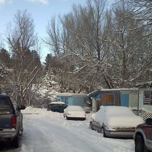 Meet your Posher, Bruce